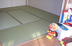 畳へり オールウェイズ No31 (高田織物)