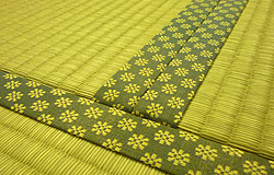 熊本産　出荷証明書付きです。