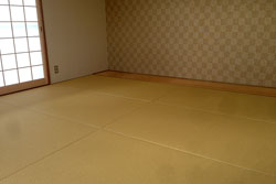 あやなみ 一帖サイズ琉球畳