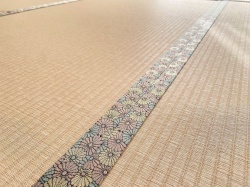 �e�����݉�